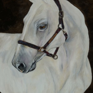 axoa peinture franoux aix en provence chevaux