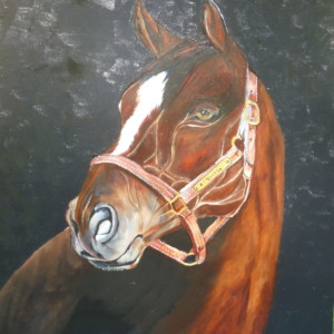 ZENYATA peinture chevaux franoux aix en provence
