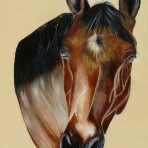 Pégaze peinture chevaux franoux