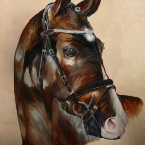 Opale peinture chevaux franoux