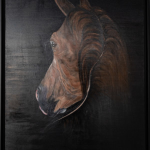 Cheval Brun Genevieve Franoux